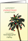Granddaughter and Family Warmest Christmas Greetings Palm Tree card
