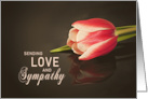 Love and Sympathy Tulip card