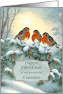 Grandpa Robins Happy Christmas card