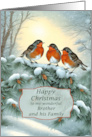 Brother and his Family Robins Happy Christmas card