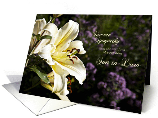 Sympathy card on the death of a son-in-law. card (1351466)