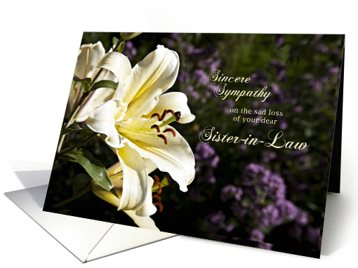 Sympathy card on the death of a sister-in-law. card (1351468)