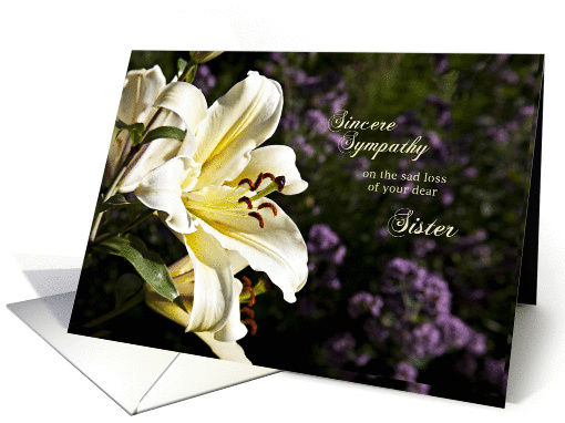 Sympathy card on the death of a sister. card (1351472)