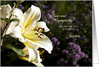 Sympathy card on the death of a sister. card