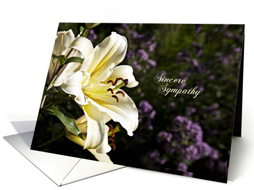 Sympathy card with a white lily card (1351476)