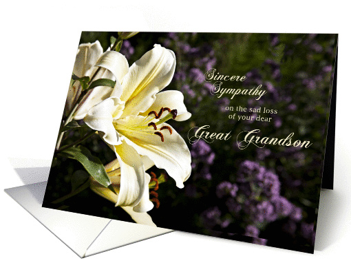 Sympathy card on the death of a great grandson. card (1351526)