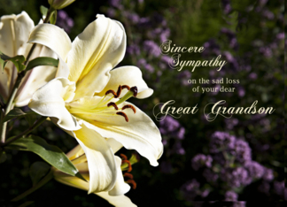 Sympathy card on the death of a great grandson.