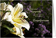 Sympathy card on the death of grandparents. card