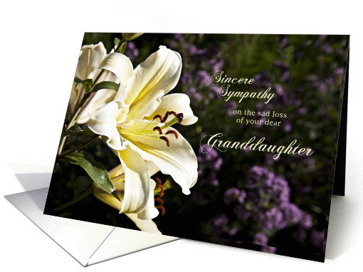 Sympathy card on the death of a granddaughter. card (1351546)
