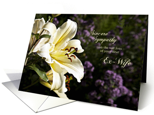 Sympathy card on the death of an ex-wife. card (1351878)