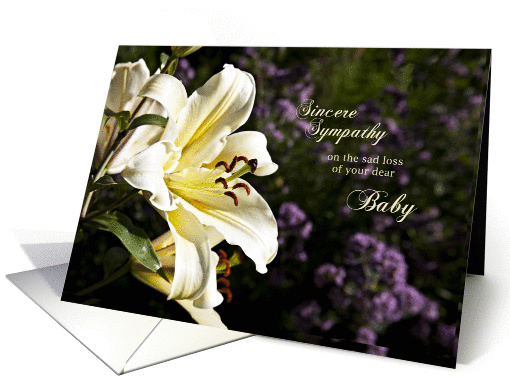 Sympathy card on the death of a baby. card (1351892)