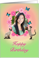 Cats and butterflies photo birthday card