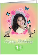 14th Birthday card with cats and butterflies, add photo and name card