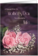 Wife, a special wish on Mother’s Day with roses card