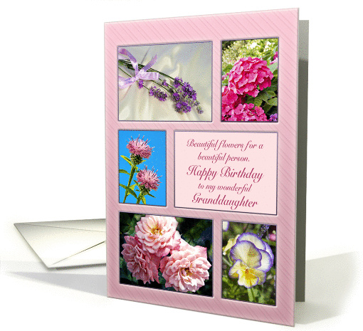Granddaughter, beautiful flowers birthday card (1433320)