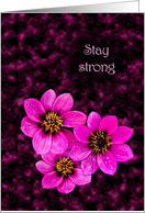 Floral encouragement card for Cancer Patient to say ’Stay strong’ card