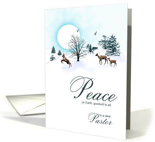 Pastor, Christmas scene with reindeer card (1525866)