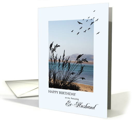 Ex-Husband Birthday, Seaside Scene card (1565408)