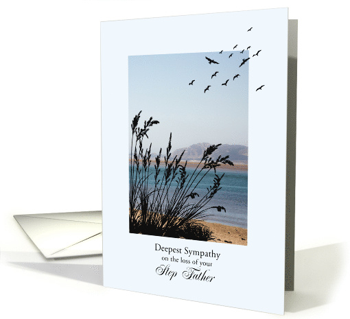 Sympathy on Loss of Step Father, Seaside Scene card (1565604)