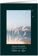 Sympathy Loss of Sister-in-Law, with Birds and a Seaview card