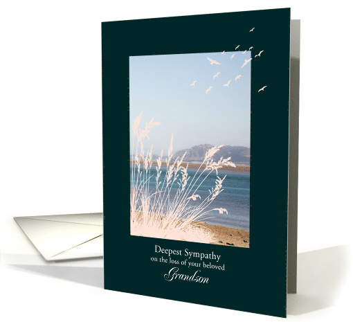 Sympathy Loss of Grandson, with Birds and a Seaview card (1607010)