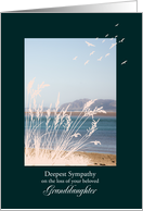 Sympathy Loss of Granddaughter, with Birds and a Seaview card