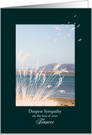 Sympathy Loss of fiancee, with Birds and a Seaview card