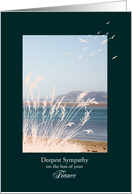 Sympathy Loss of Fiance, with Birds and a Seaview card