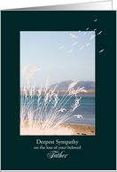 Sympathy Loss of Father, with Birds and a Seaview card