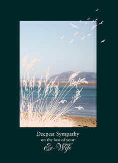 Sympathy Loss of Ex-Wife, with Birds and a Seaview