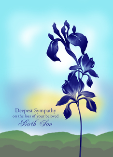 Sympathy Loss of Birth Son, with Purple Flowers