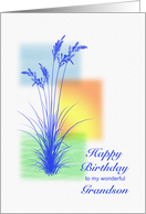 Grandson, Happy Birthday, with Grasses card