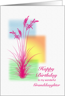 Granddaughter, Happy Birthday, with Grasses card