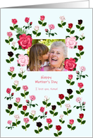 Nana, Add a Picture Mother’s Day Roses card