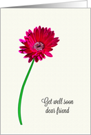Friend Get Well Soon Painted Flower card