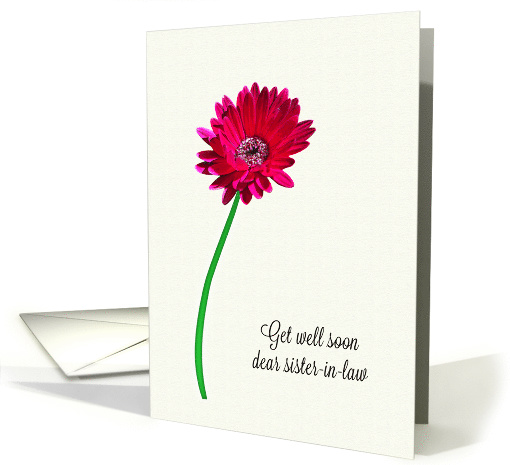 Sister-in-Law Get Well Soon Painted Flower card (1620478)