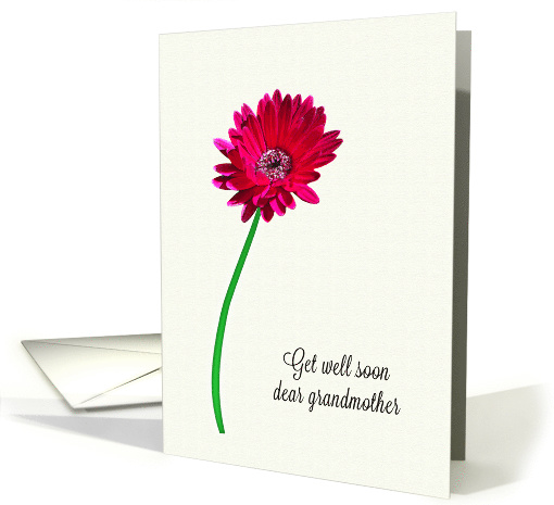 Grandmother Get Well Soon Painted Flower card (1620526)