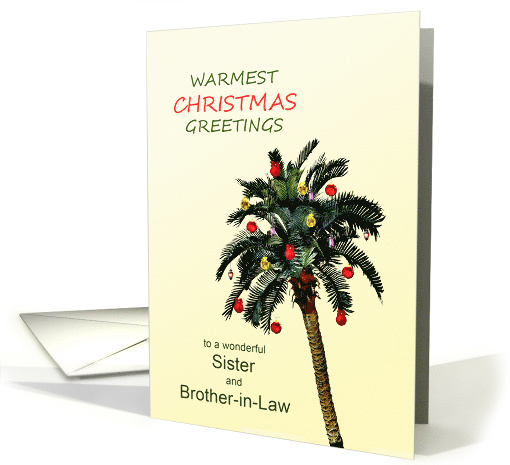 Sister and Brother-in-Law Warmest Christmas Greetings Palm Tree card