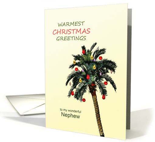 Nephew Warmest Christmas Greetings Palm Tree card (1624566)
