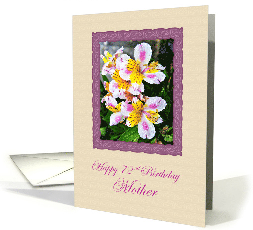Mother 72nd Birthday Alstroemeria Flowers in the Rain card (1704608)