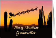 Grandmother Christmas Santa and Reindeer Over The Desert card