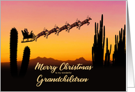 Grandchildren Christmas Santa and Reindeer Over The Desert card