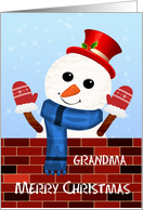 Grandma Christmas Snow Man card