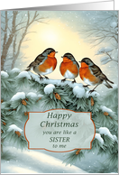 Like A Sister To Me Robins Happy Christmas card