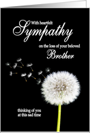 Brother Sympathy Dandelion Clock card