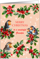Grandpa Robins and Holly Christmas card