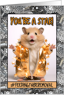 Feeding Tube Removal Congrats Star Hamster card