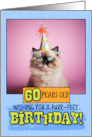 60 Years Old Happy Birthday Himalayan Cat card