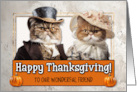 Friend Thanksgiving Pilgrim Exotic Shorthair Cat couple card