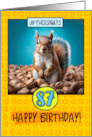 87 Years Old Happy Birthday Squirrel and Nuts card